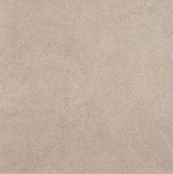 REINE taupe 45x45 J3 2 (P)