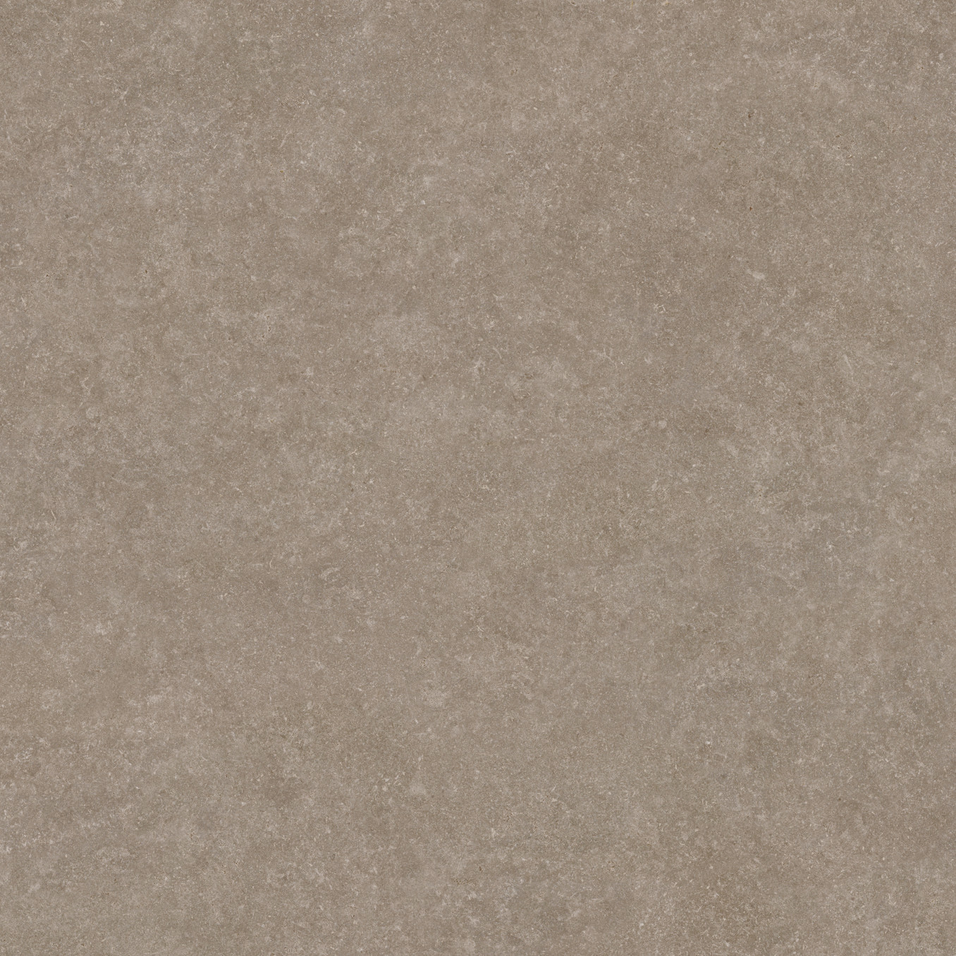 LIGHT STONE taupe gres 45x45 M25 05 (P)