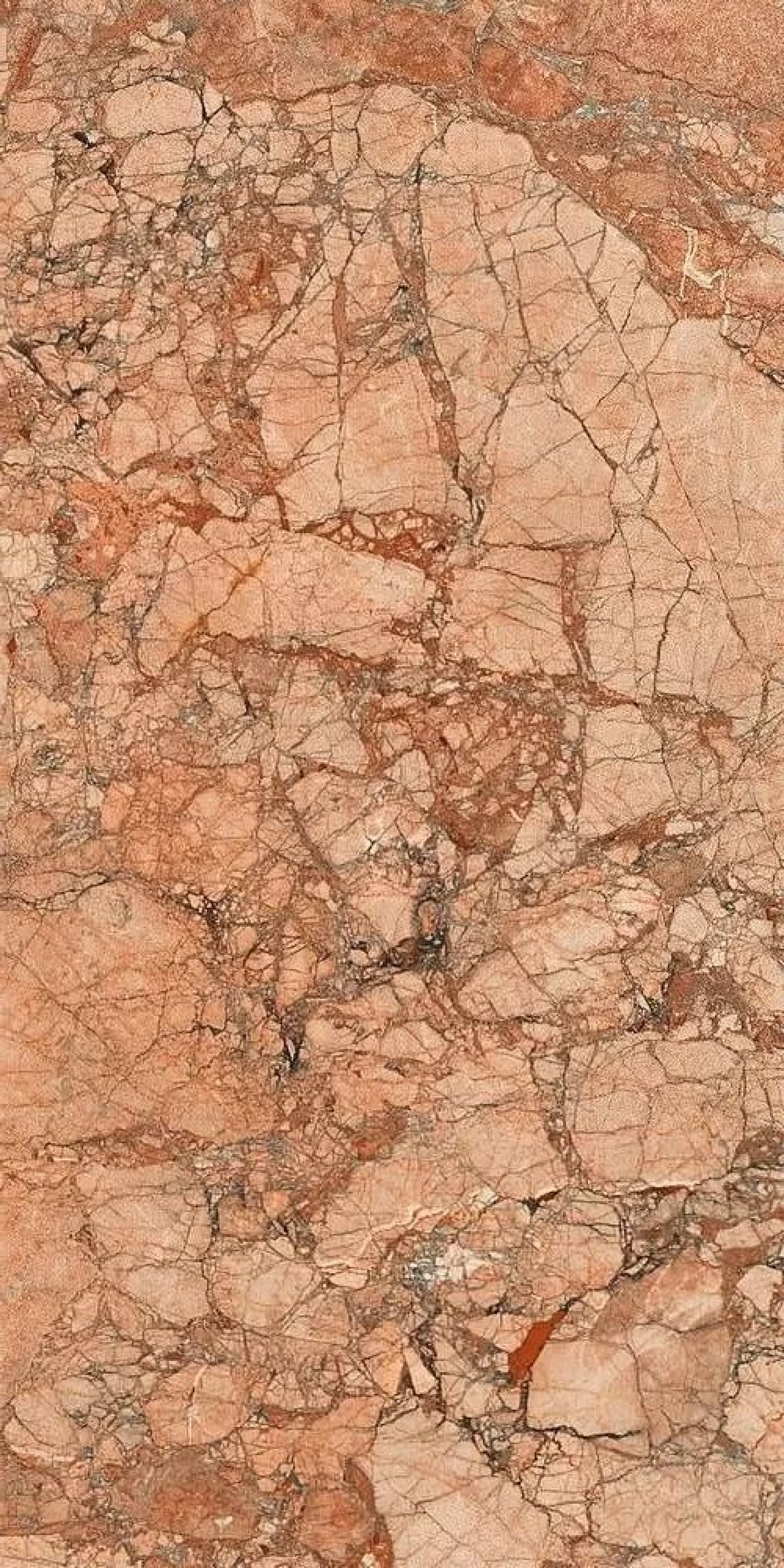 INCANTO breccia pernice glossy 75x150 rett A20 R4 (P)