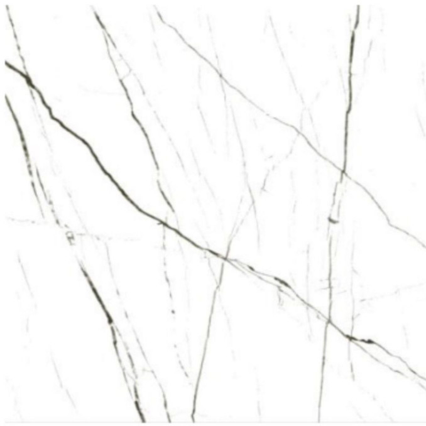 WHITE stone (PGVS-505) 60x60 rett A2 (P)