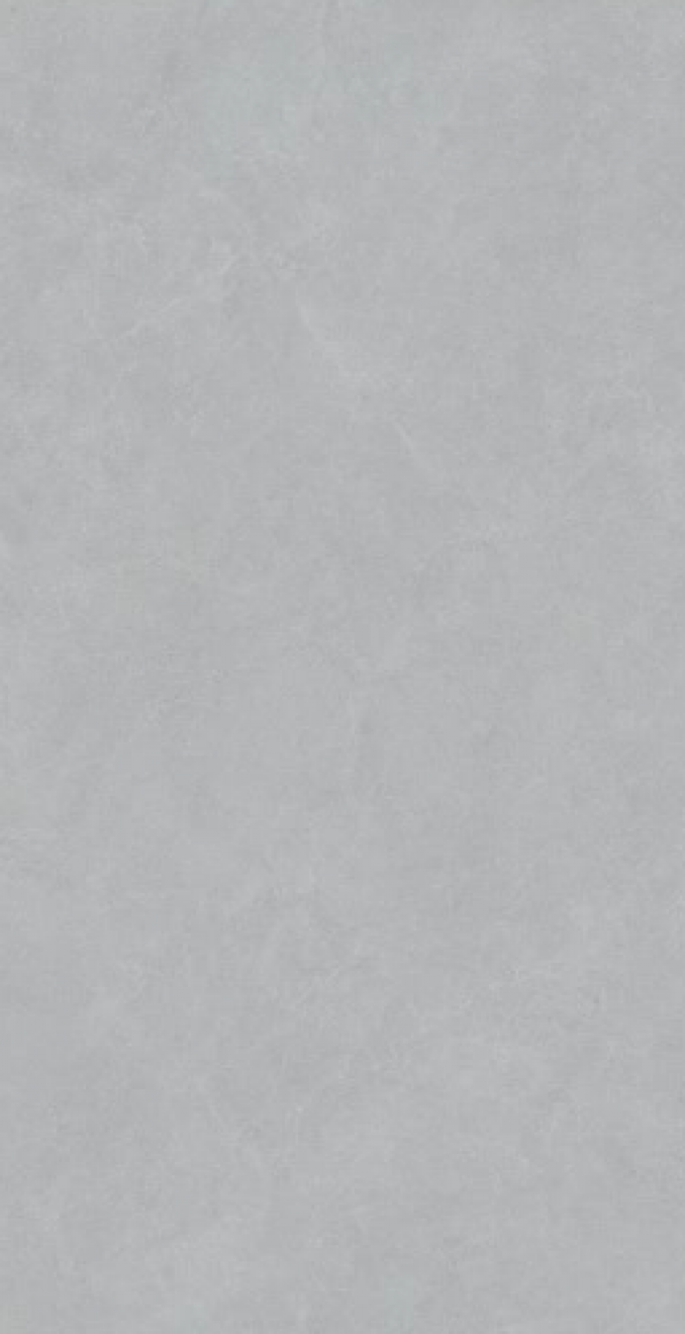 PURE STONE soft grey 60x120 rett A1 (P/Z)