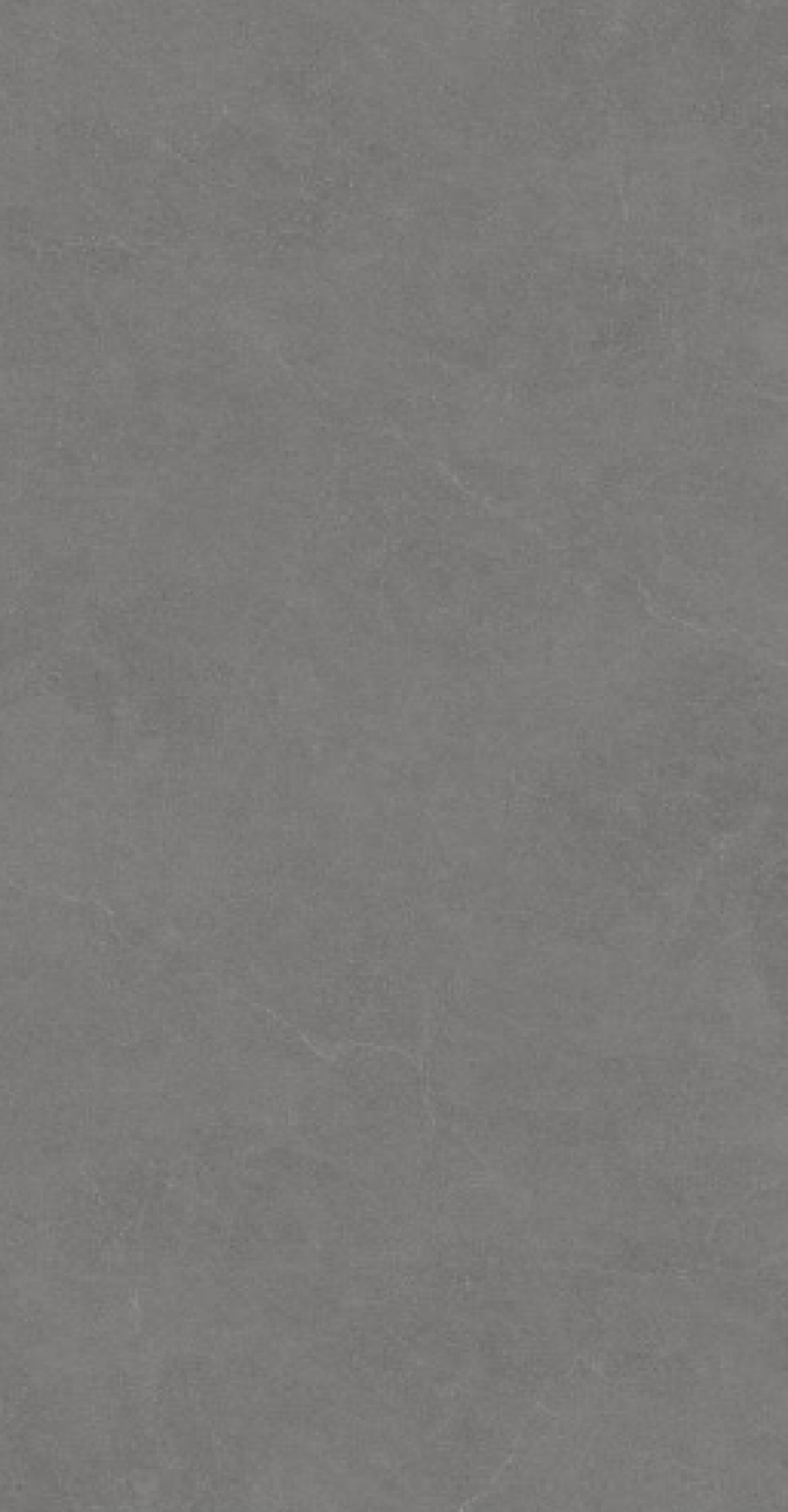 PURE STONE grey 60x120 rett A1 (P/Z)