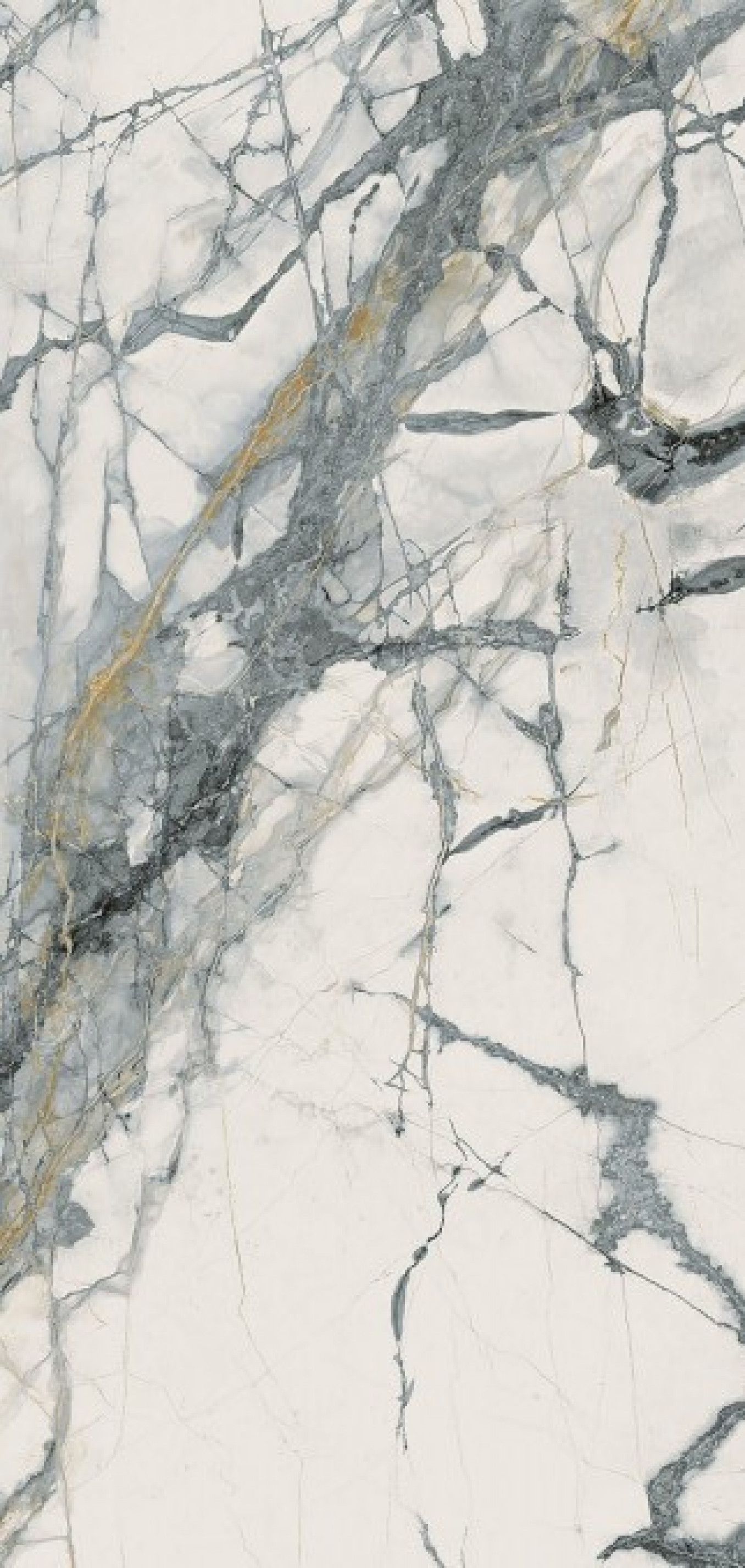 THE ROOM INV WH6 12 LP 60x120 P0465 IH